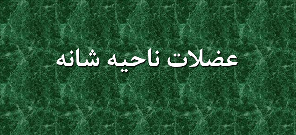 دانلود پاورپوینت عضلات ناحیه شانه